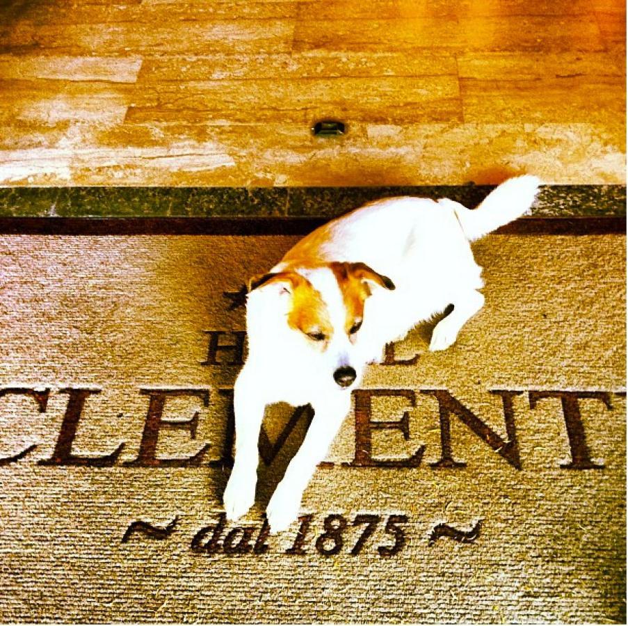 Hotel Clementi Salice Terme Εξωτερικό φωτογραφία